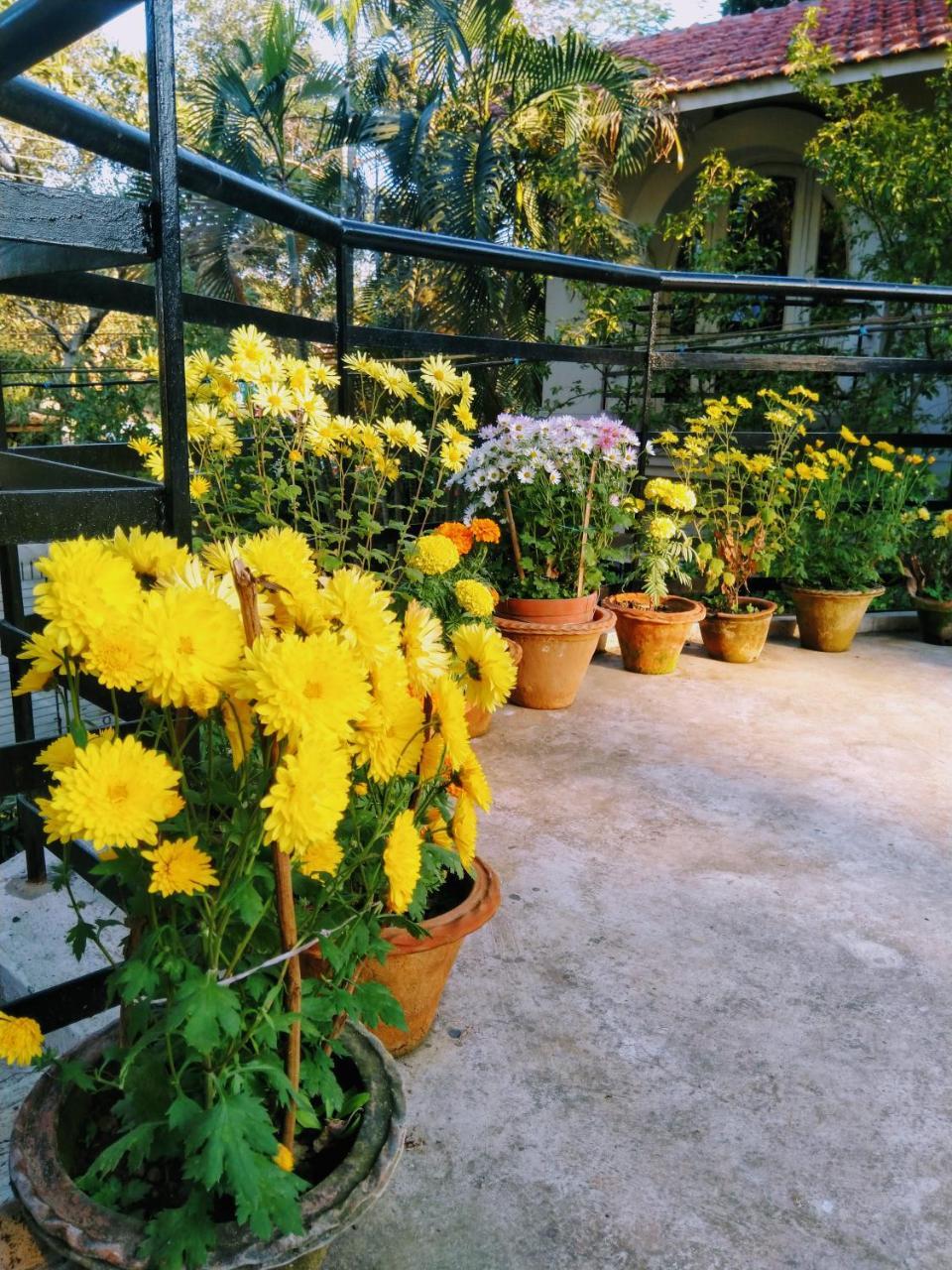 Chaiti Eco Homestay- Santiniketan Bolpur Exterior photo
